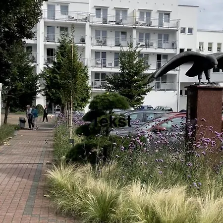 Bielik * ミエンジズドロイェ